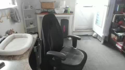 Bellavoca online show from 04-28-26, 08:47