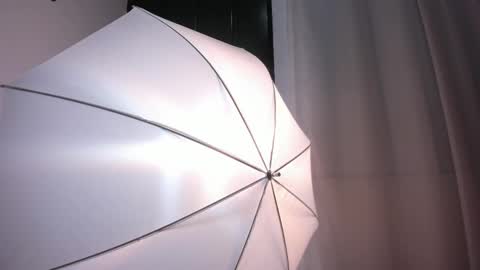 Snapshot of bellawild_ chatting on 02-12-26, 12:00 Bella Wild online show from 02-12-26, 12:00