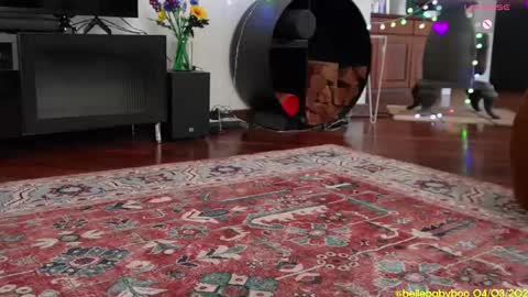 BELLE   online show from 03-04-25, 01:12