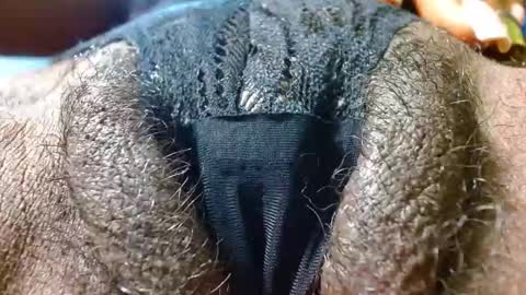 Bethany Wilson online show from 01-24-25, 03:34