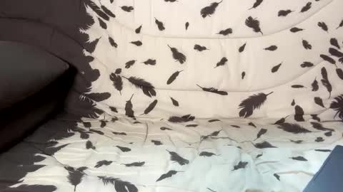 betterthanmen online show from 02-13-25, 08:17