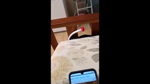 bf2506 online show from 02-12-26, 04:18