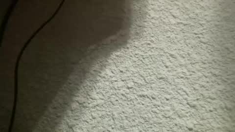 Snapshot of bgf32054 chatting on 02-04-25, 05:21 Bigfish123 online show from 02-04-25, 05:21