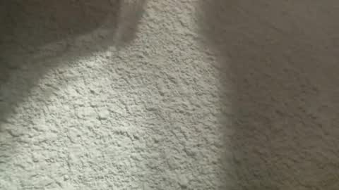 Snapshot of bgf32054 chatting on 03-12-25, 04:41 Bigfish123 online show from 03-12-25, 04:41