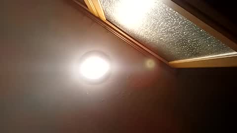 Snapshot of bgiamba21 chatting on 10-29-25, 11:50 bgiamba21 online show from 10-29-25, 11:50