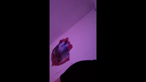 Snapshot of bgiamba21 chatting on 02-07-26, 10:19 bgiamba21 online show from 02-07-26, 10:19