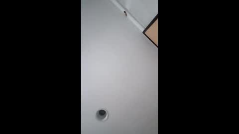 Snapshot of bgiamba21 chatting on 02-17-26, 05:48 bgiamba21 online show from 02-17-26, 05:48