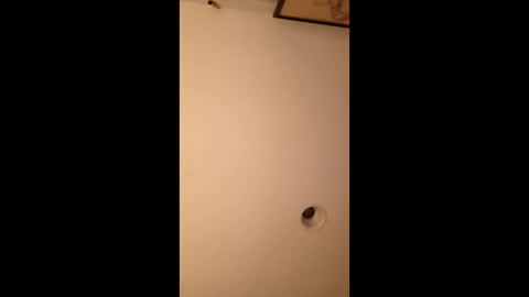 bgiamba21 online show from 03-14-26, 06:19