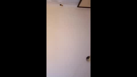 bgiamba21 online show from 04-04-26, 06:33