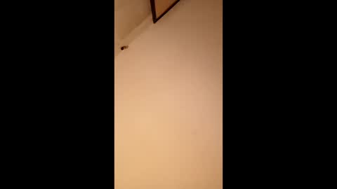 bgiamba21 online show from 05-19-26, 06:31