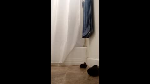 bibottom68942 online show from 12-22-25, 12:24