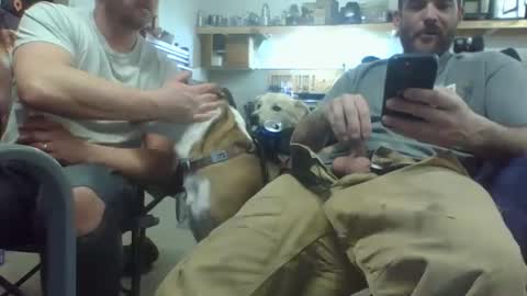 Snapshot of bicboy007 chatting on 03-08-25, 02:34 bicboy007 online show from 03-08-25, 02:34