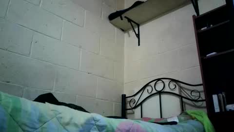 bichopeludo online show from 10-06-25, 12:08