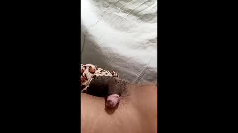 biel369737 online show from 03-02-26, 04:36