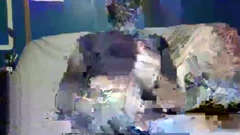 big9inchsnake online show from 12-09-24, 10:20