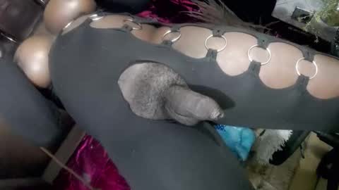 Snapshot of big_trans chatting on 01-14-26, 05:18 big_trans online show from 01-14-26, 05:18