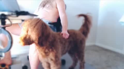 Alcide Herveaux online show from 02-25-26, 05:00