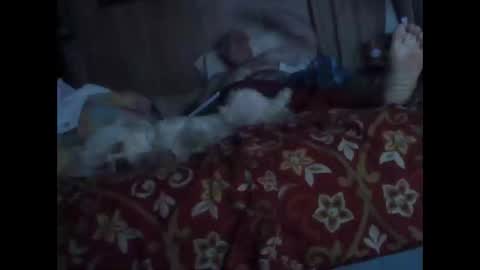 BB online show from 10-20-25, 01:28