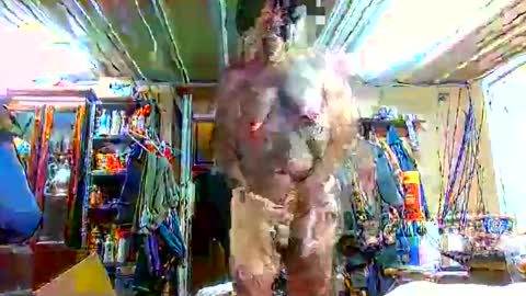 Snapshot of bigboy_604630544 chatting on 09-28-25, 01:16 bigboy_604630544 online show from 09-28-25, 01:16