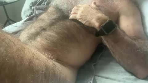 big bush online show from 02-11-25, 12:49