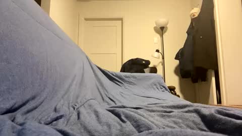 Buster685 online show from 11-19-25, 07:08