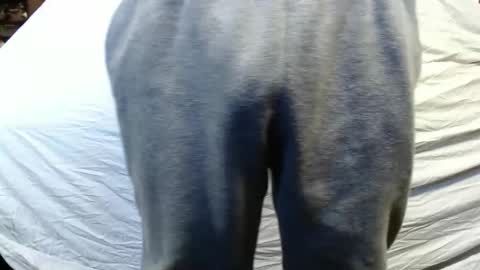 bigdickdaddy567130413 online show from 01-15-25, 05:47