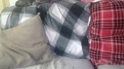 Snapshot of bigdicktrannynicole chatting on 01-29-25, 12:56 bigdicktrannynicole online show from 01-29-25, 12:56