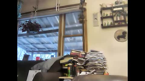 bigelectricrod online show from 01-05-25, 12:31