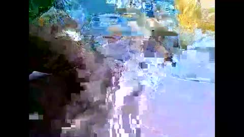 Snapshot of bigfatarabzobrr1994__ chatting on 12-11-24, 02:41 Mr Alpha online show from 12-11-24, 02:41