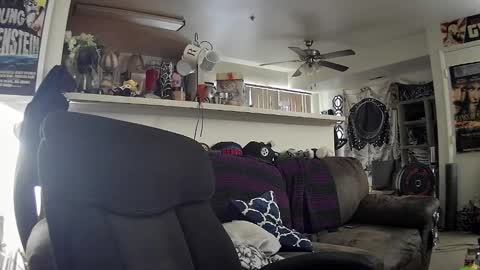 Snapshot of biggerisbetter21 chatting on 02-17-25, 11:42 biggerisbetter21 online show from 02-17-25, 11:42