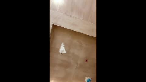 Snapshot of bigpoppa69999 chatting on 01-16-25, 02:30 bigpoppa69999 online show from 01-16-25, 02:30