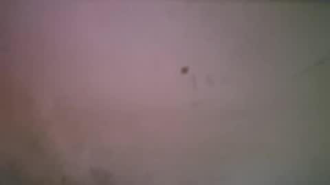 bigsssnake69 online show from 04-21-26, 01:42