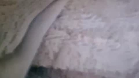 Snapshot of bigsssnake69 chatting on 07-09-26, 10:47 bigsssnake69 online show from 07-09-26, 10:47