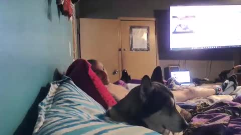 Snapshot of bigtomcat45 chatting on 12-24-24, 06:17 bigtomcat45 online show from 12-24-24, 06:17