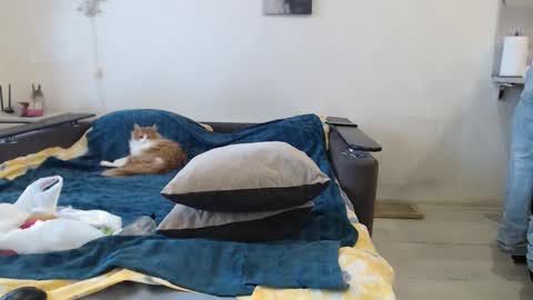 Snapshot of bigtwinsomg chatting on 02-20-26, 06:26 BigTwinsOmg online show from 02-20-26, 06:26