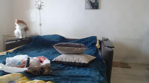 Snapshot of bigtwinsomg chatting on 02-24-26, 07:39 BigTwinsOmg online show from 02-24-26, 07:39