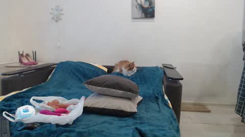 Snapshot of bigtwinsomg chatting on 02-27-26, 05:51 BigTwinsOmg online show from 02-27-26, 05:51