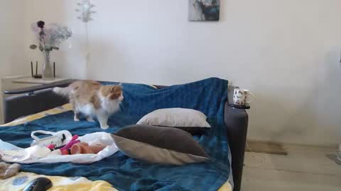 BigTwinsOmg online show from 03-16-26, 06:50