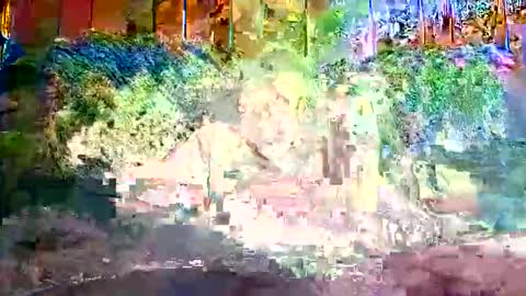 bigwytecock1979 online show from 12-09-24, 01:24