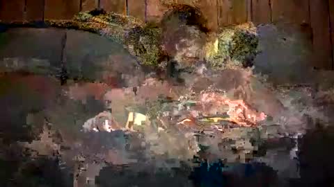 bigwytecock1979 online show from 12-11-24, 07:31