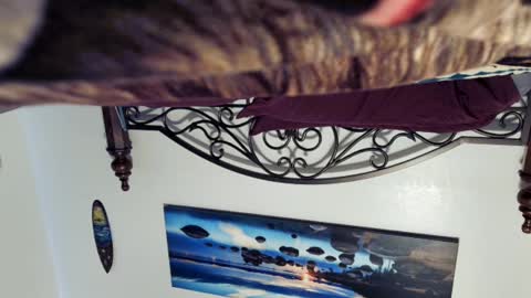 Starlyte online show from 03-02-25, 08:40