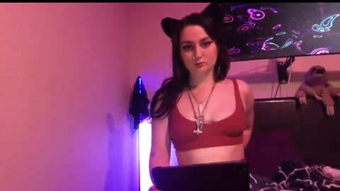 Snapshot of bimbokitten666 chatting on 12-13-24, 04:11 Danny online show from 12-13-24, 04:11