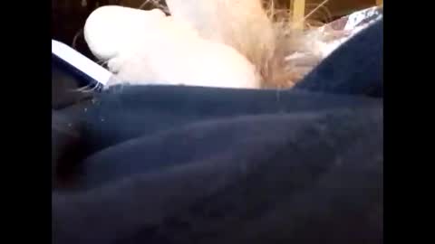 bjloversohard online show from 01-04-25, 04:33