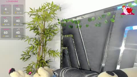 B L A C K  R O S E  online show from 02-07-25, 11:34