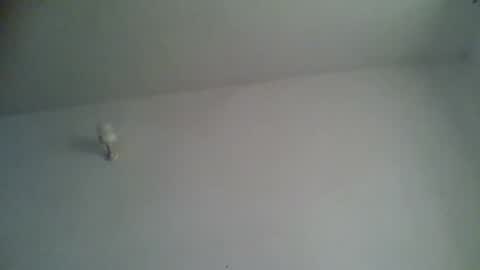 black african online show from 11-15-25, 05:27