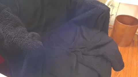 Aqua online show from 02-18-25, 06:47