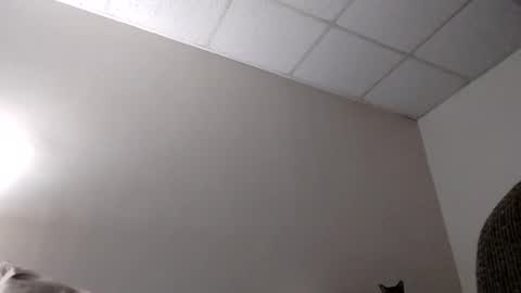 blahblam420 online show from 02-05-25, 07:50