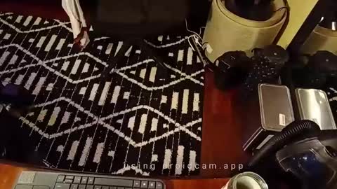 Blackjag00 online show from 02-19-25, 07:06