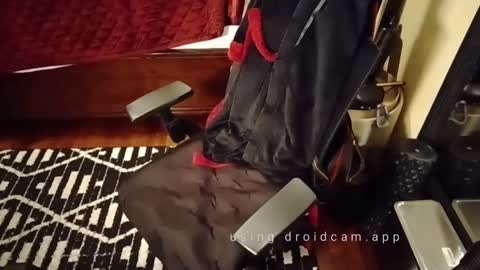 Blackjag00 online show from 03-03-25, 09:22