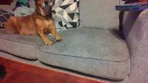 blaw_1321 online show from 11-14-25, 08:57